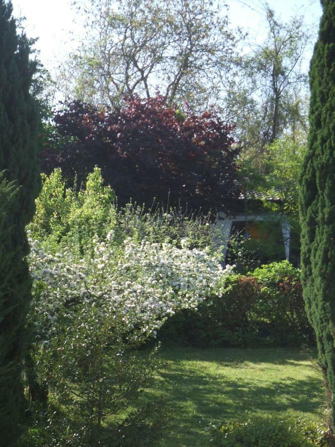 Отель La Rose Tremiere Wintzenheim-Kochersberg Экстерьер фото