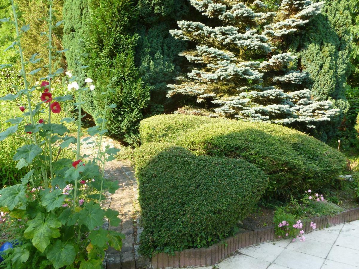 Отель La Rose Tremiere Wintzenheim-Kochersberg Экстерьер фото